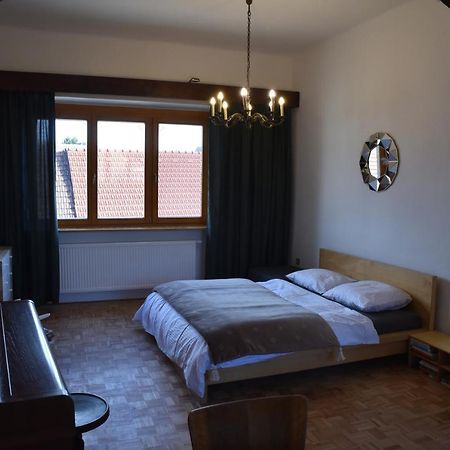 לדניצה Apartman S Klavirem מראה חיצוני תמונה